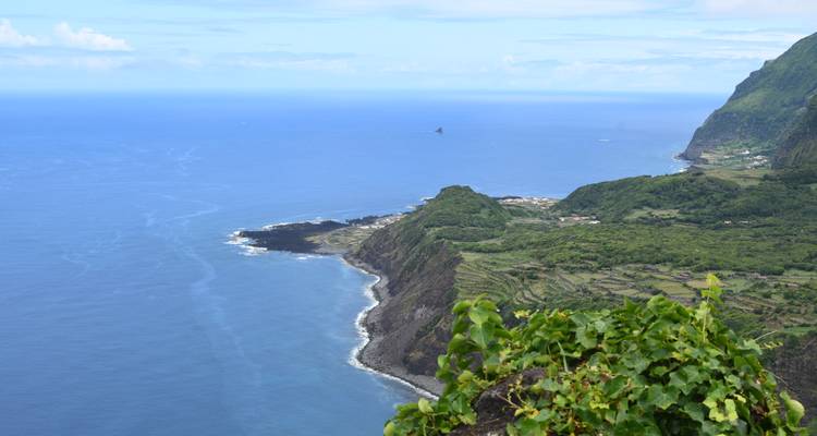 Point de vue côtier élevé offrant une vue spectaculaire sur des falaises dramatiques et l'océan bleu profond s'étendant jusqu'à l'horizon.