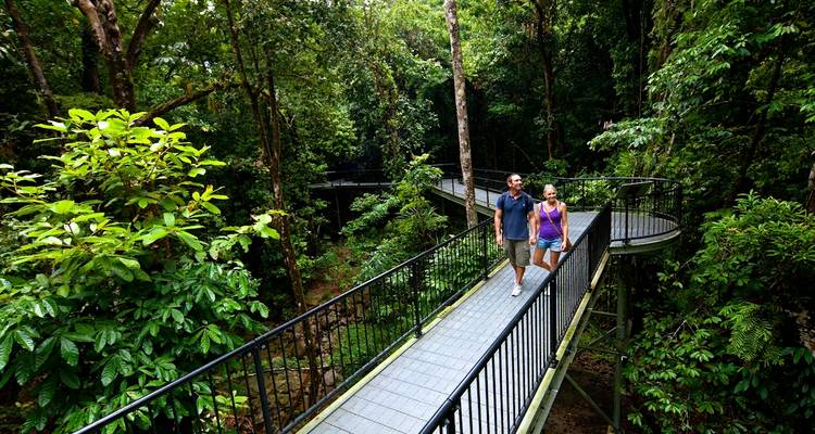 Un couple se promène le long d'une passerelle surélevée en forêt tropicale, entouré d'une dense canopée verdoyante.