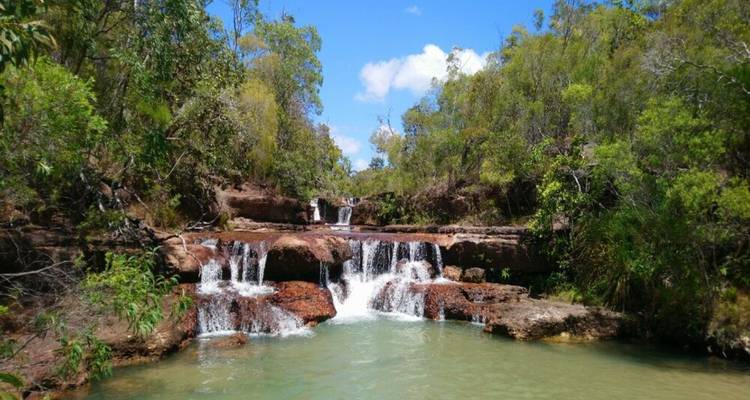 Série de petites chutes d'eau en cascade s'écoulant dans un bassin vert au milieu d'une végétation luxuriante.