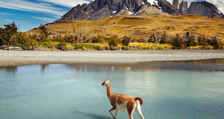 Patagonia Wilderness - Intrepid Travel 7