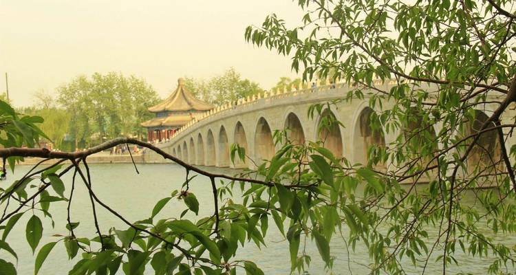De la Gran Muralla a las Grandes Ciudades: Aventura épica en China de Pekín a Shanghai - The Dragon Trip 6
