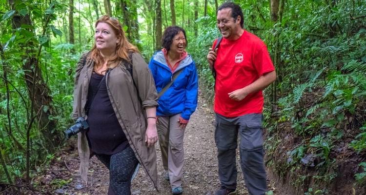 Trois personnes faisant de la randonnée dans une forêt verte et luxuriante.
