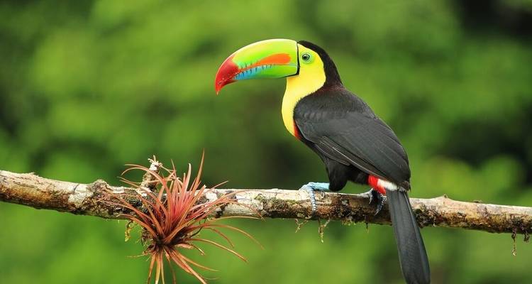 Aventura centroamericana (47 destinations) - Intrepid Travel 5