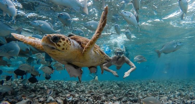 Aventura centroamericana (47 destinations) - Intrepid Travel 1