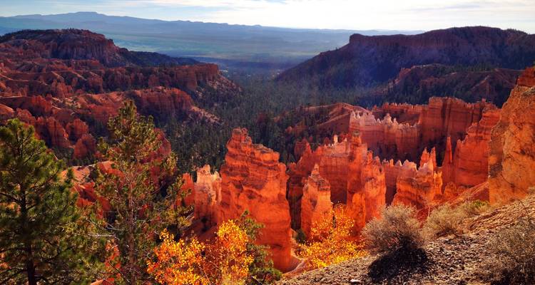 Excursion de nuit à Bryce et Zion - Bindlestiff Tours 2