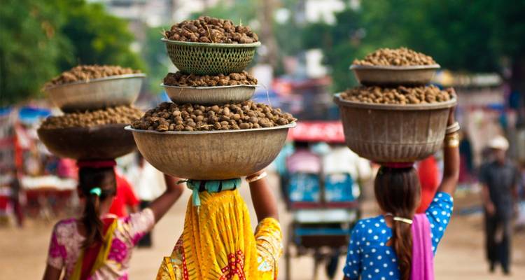 Delhi to Colombo - 15 days - On The Go Tours 8