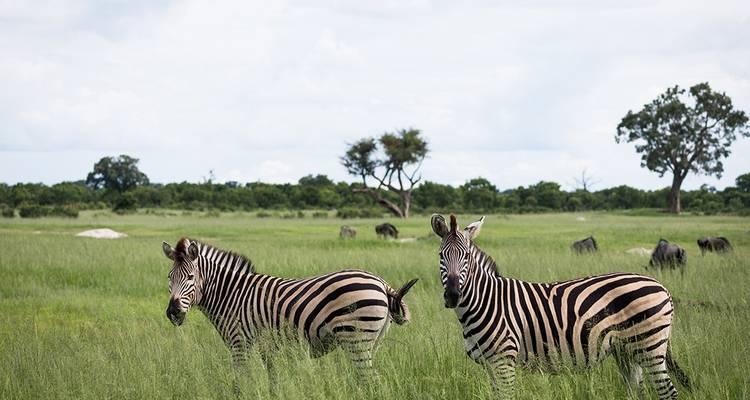 Explore Southern Africa - Intrepid Travel 4