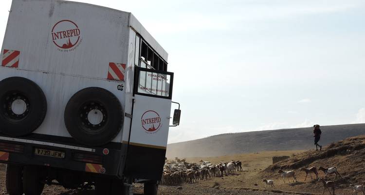 Du Kenya au Cap - Intrepid Travel 5