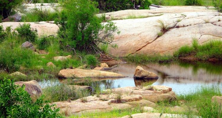 Paisaje rocoso natural con un pequeño cuerpo de agua y vegetación.