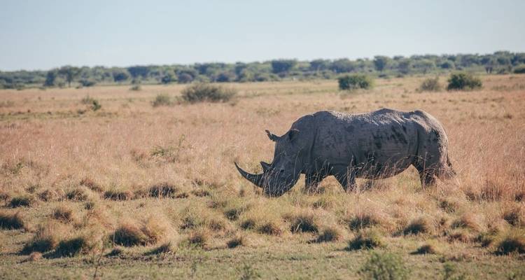 Experience Southern Africa - Intrepid Travel 7