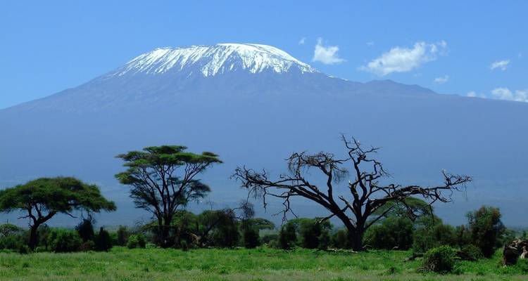 Ascension du Kilimandjaro par la route de Rongai - 7 jours - Sed Adventures Tours and Safaris 8