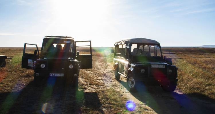 Dos vehículos de safari estacionados en un campo.