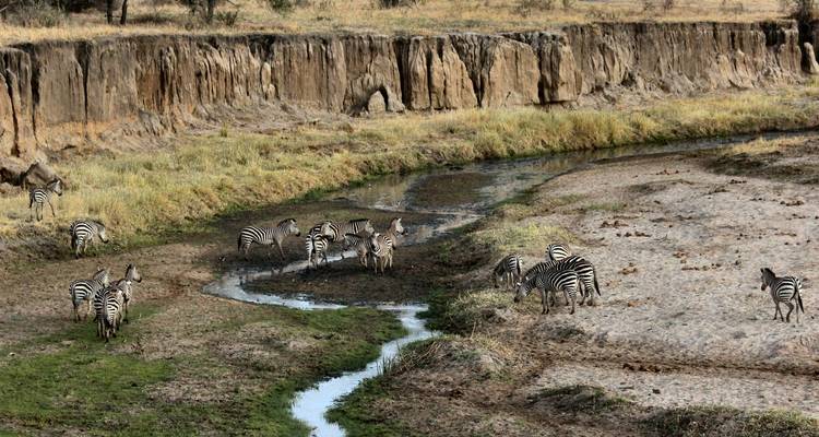 Tanzania Family Safaris - Sed Adventures Tours and Safaris 4