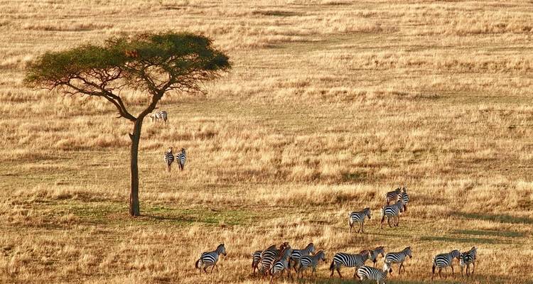 Tanzania Family Safaris - Sed Adventures Tours and Safaris 5