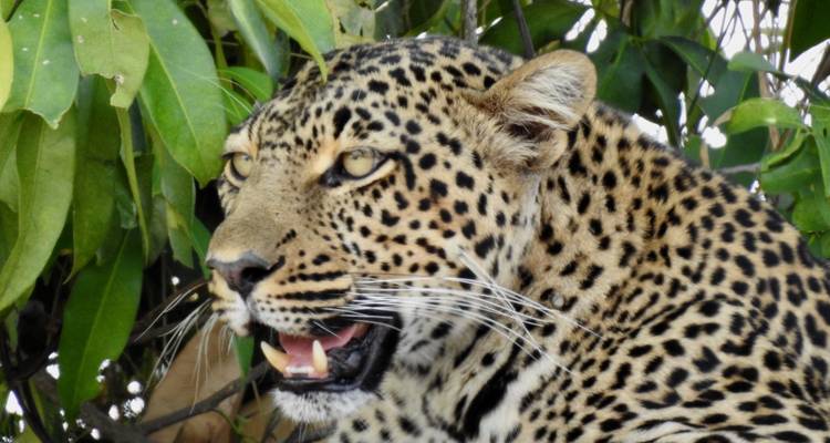 Tanzania - gran viaje - Sed Adventures Tours and Safaris 1