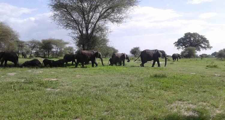 Tanzania - gran viaje - Sed Adventures Tours and Safaris 2