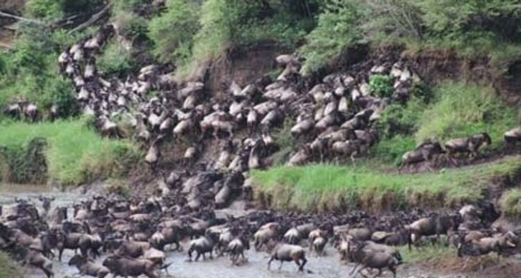 Tanzania - gran viaje - Sed Adventures Tours and Safaris 3
