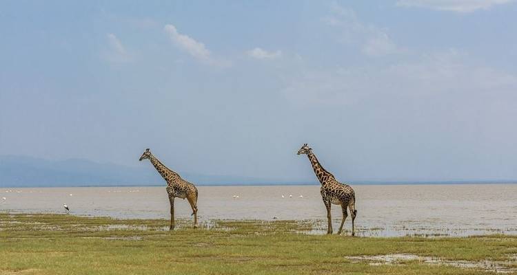 Big Five Safari and Local Villages Tour - Sed Adventures Tours and Safaris 6