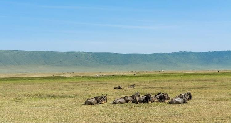 Big Five Safari and Local Villages Tour - Sed Adventures Tours and Safaris 9
