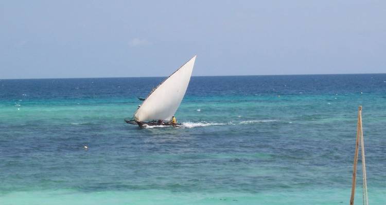Vacances en Tanzanie avec faune et plage à Zanzibar - Sed Adventures Tours and Safaris 3