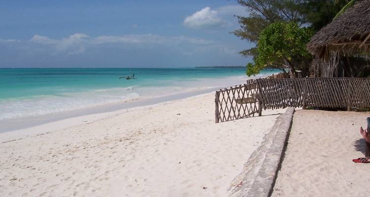 Vacances en Tanzanie avec faune et plage à Zanzibar - Sed Adventures Tours and Safaris 4