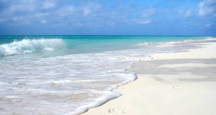 Swahili Blue Nungwi - Sed Adventures Tours and Safaris 2