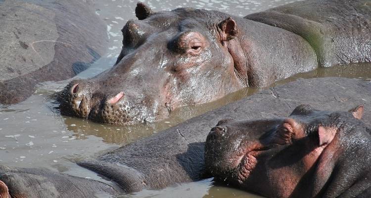 Budget Safari, Northern Tanzania - Sed Adventures Tours and Safaris 10