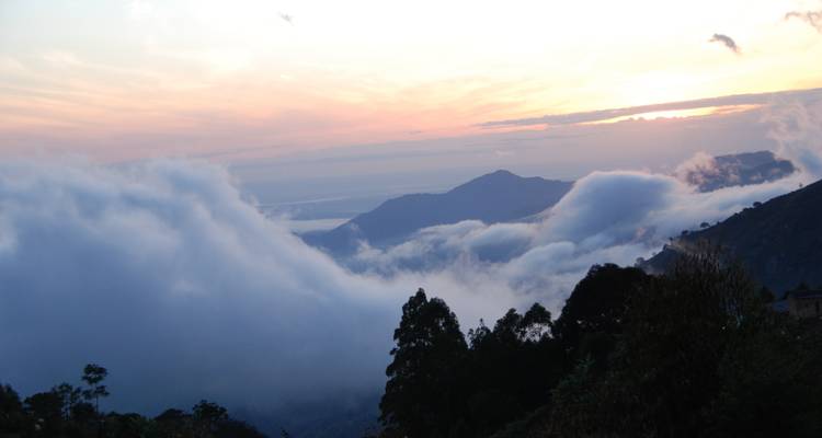 Montañas Usambara y playa de Pangani - Sed Adventures Tours and Safaris 1