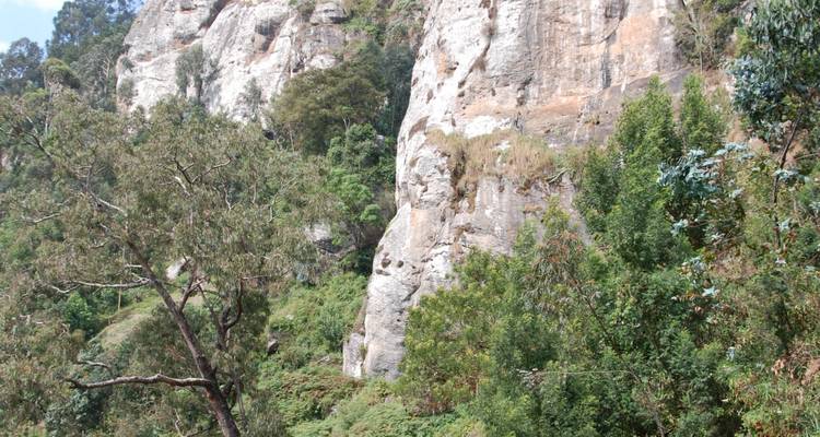 Rocky cliff face surrounded by green trees and shrubs.