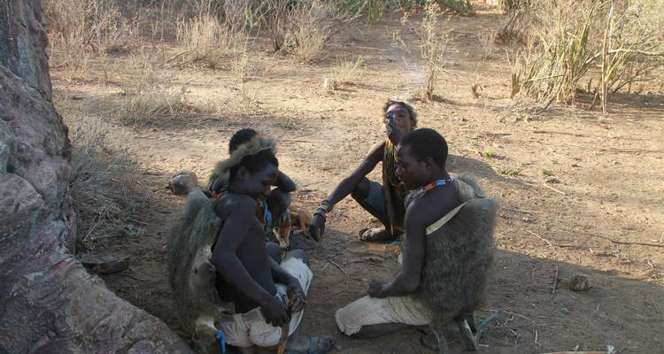 Honey Gathering - Sed Adventures Tours and Safaris 2