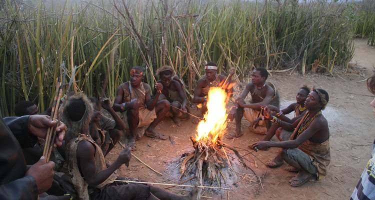 Honey Gathering - Sed Adventures Tours and Safaris 3