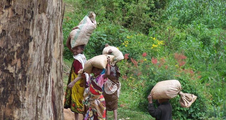 Trek à Mtae Usambara - Sed Adventures Tours and Safaris 3