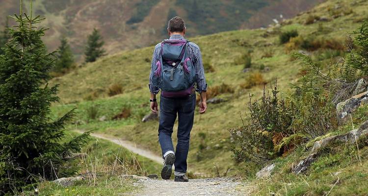 Ascension du Kilimandjaro - Route Machame "Whiskey Route" - Route du whisky - Sed Adventures Tours and Safaris 4