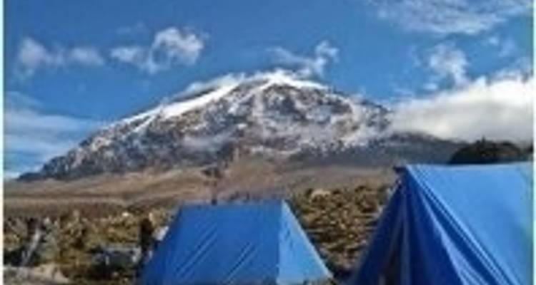 Ascension du Kilimandjaro - Route Machame "Whiskey Route" - Route du whisky - Sed Adventures Tours and Safaris 5