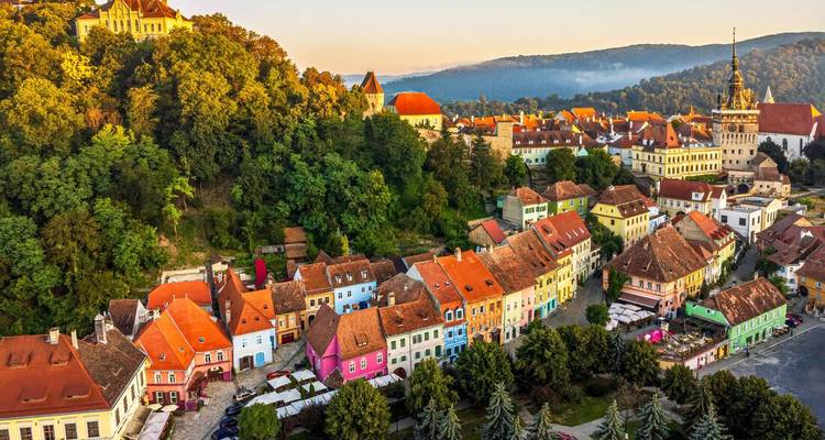 Kleurrijke middeleeuwse huizen en kerktorens van Sighișoara verspreid over een beboste heuvelflank bij zonsopgang.