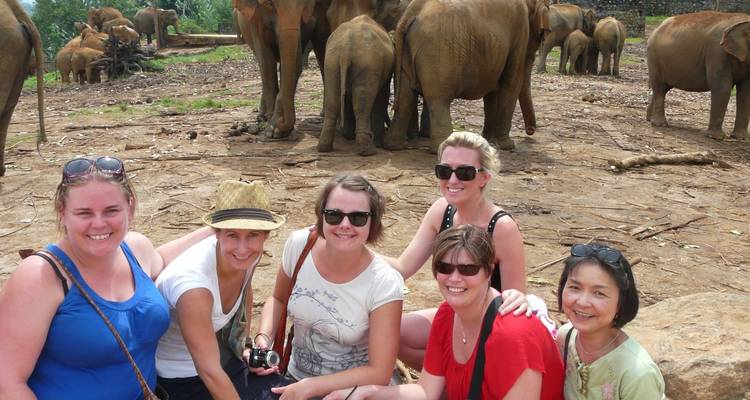 Colombo, Grottes et Kandy - 8 jours - On The Go Tours 2
