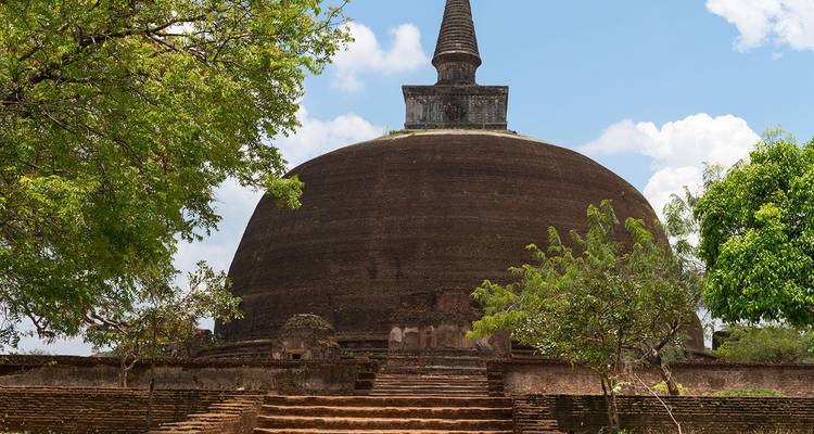 Un ancien stupa en brique entouré d'arbres avec des marches en pierre menant vers son dôme arrondi.