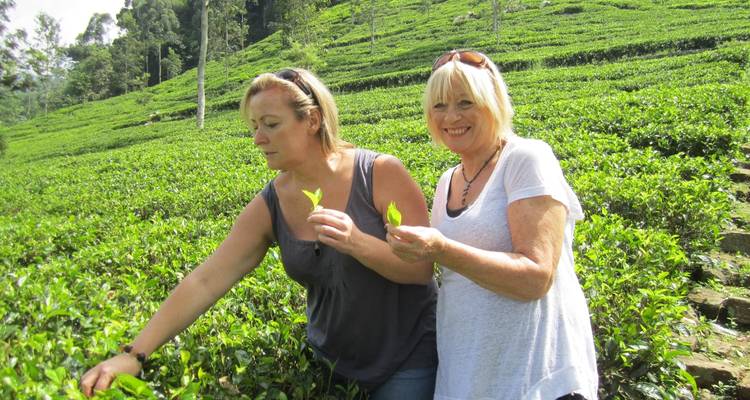 Colombo, Grottes et Kandy - 8 jours - On The Go Tours 9