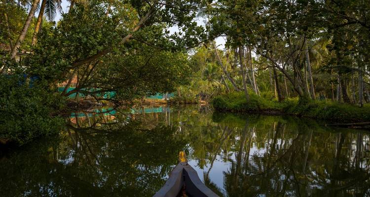 Kanu, die durch ruhige spiegelglatte Gewässer der Backwaters von Kerala gleitet, umgeben von dichtem Grünflächenbestand.