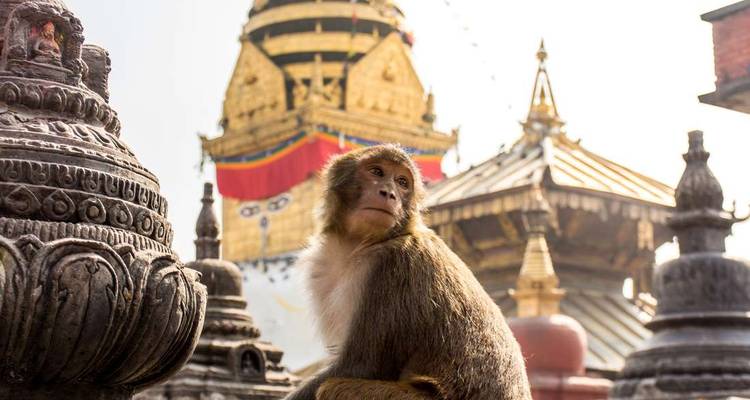 India & Nepal Adventure - Intrepid Travel 10