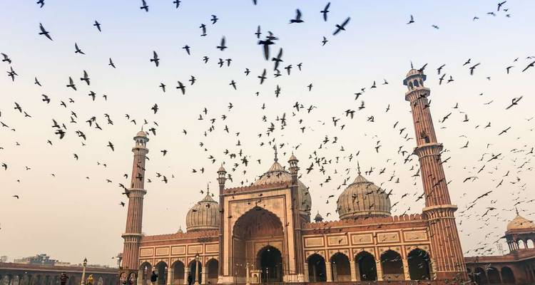India & Nepal Adventure - Intrepid Travel 7