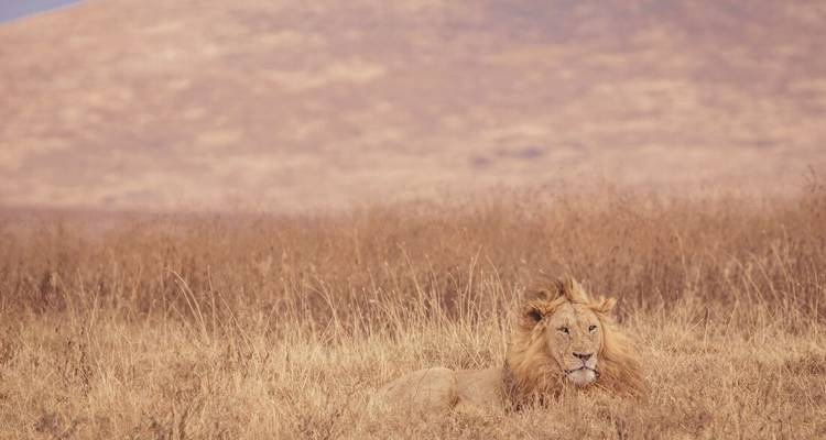 El corazón de los Masai - Intrepid Travel 9