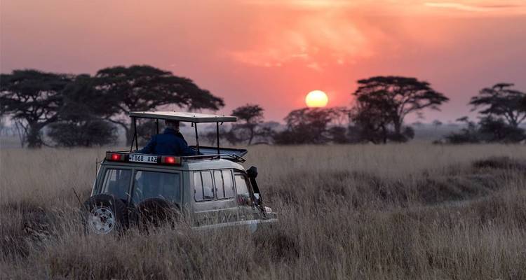 Vehículo de safari en una llanura al atardecer con árboles de acacia.