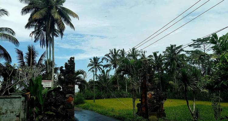 Aventure en VTT à Bali - SpiceRoads Cycling 2