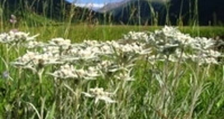Mountain Biking Kazakhstan and Kyrgyzstan - SpiceRoads Cycling 9