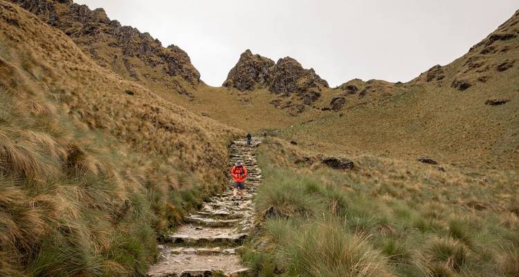Een trekker in een rode jas beklimt een oud stenen pad door gouden punagrassen naar ruige Andestoppen.