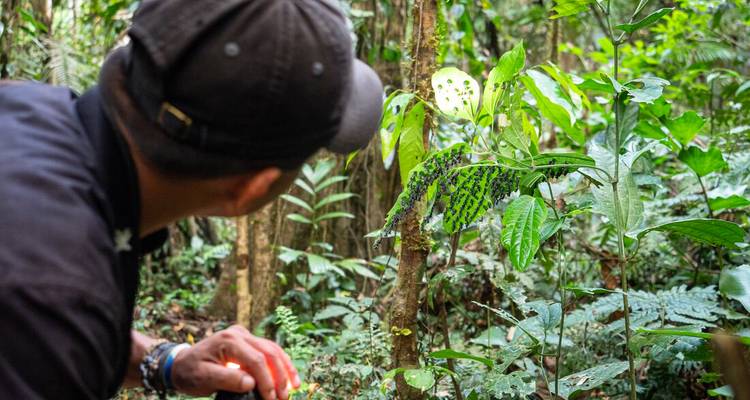 Rencontre avec les Incas - Intrepid Travel 2