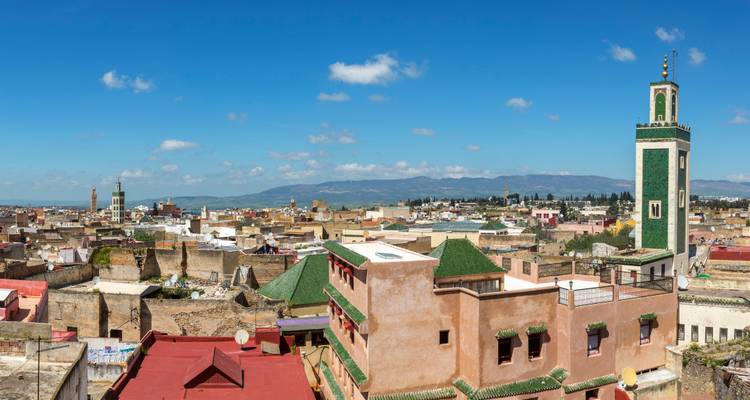 Panoramisch uitzicht vanaf het dak over de oude stad Fes met groene betegelde minaretten die boven de gebouwen uitsteken.