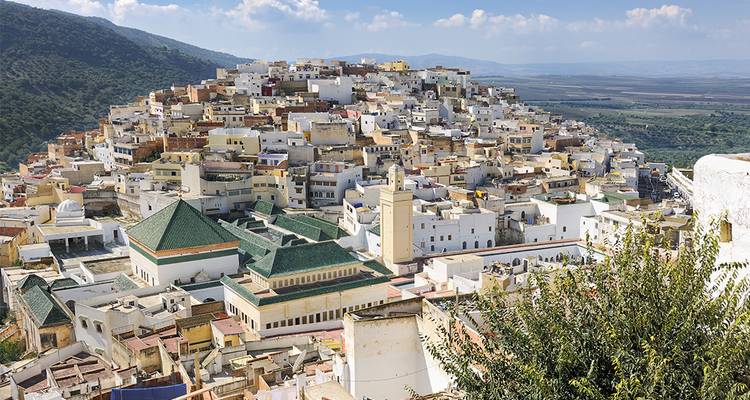 Vue panoramique d'une ville densément construite sur une colline près d'une végétation luxuriante.