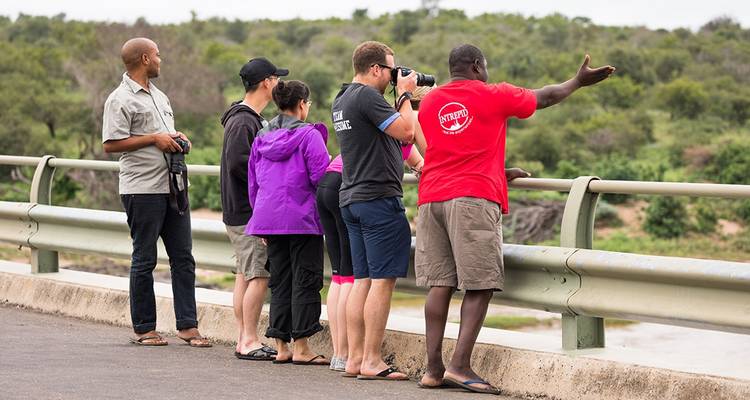 Kruger, costa y Cabo - Intrepid Travel 10